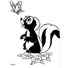 Desenho Gambá (Animais) #11212 para imprimir e colorir