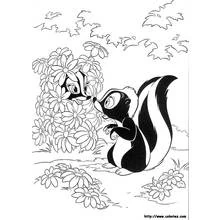 Desenho Gambá (Animais) #11295 para imprimir e colorir