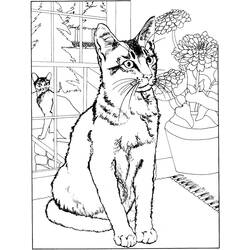 Página para colorir: Gatinho (animais) #18039 - Páginas para Colorir Imprimíveis Gratuitamente