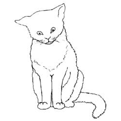 Página para colorir: Gatinho (animais) #18043 - Páginas para Colorir Imprimíveis Gratuitamente