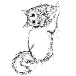 Página para colorir: Gatinho (animais) #18047 - Páginas para Colorir Imprimíveis Gratuitamente