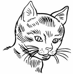 Página para colorir: Gatinho (animais) #18050 - Páginas para Colorir Imprimíveis Gratuitamente