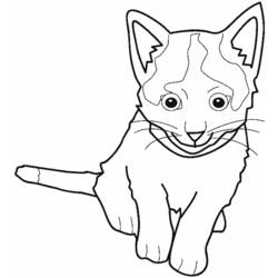 Página para colorir: Gatinho (animais) #18081 - Páginas para Colorir Imprimíveis Gratuitamente