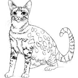 Página para colorir: Gatinho (animais) #18096 - Páginas para Colorir Imprimíveis Gratuitamente