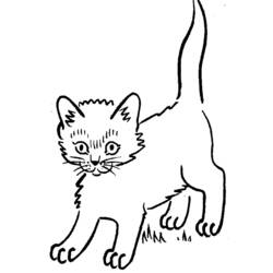 Página para colorir: Gatinho (animais) #18123 - Páginas para Colorir Imprimíveis Gratuitamente