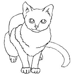 Página para colorir: Gatinho (animais) #18143 - Páginas para Colorir Imprimíveis Gratuitamente