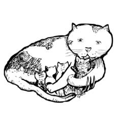 Página para colorir: Gatinho (animais) #18145 - Páginas para Colorir Imprimíveis Gratuitamente