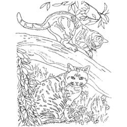 Página para colorir: Gatinho (animais) #18146 - Páginas para Colorir Imprimíveis Gratuitamente