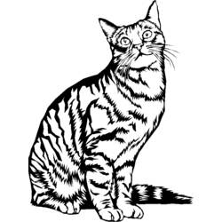 Página para colorir: Gatinho (animais) #18148 - Páginas para Colorir Imprimíveis Gratuitamente