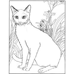 Página para colorir: Gatinho (animais) #18205 - Páginas para Colorir Imprimíveis Gratuitamente