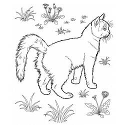 Desenho Gato (Animais) #174952 para imprimir e colorir