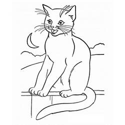 Desenho Gato (Animais) #174954 para imprimir e colorir