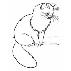 Desenho Gato (Animais) #174955 para imprimir e colorir