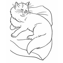 Desenho Gato (Animais) #174956 para imprimir e colorir