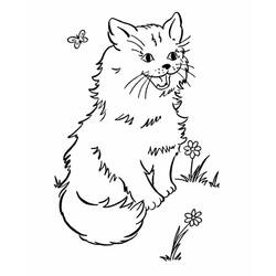 Desenho Gato (Animais) #174963 para imprimir e colorir