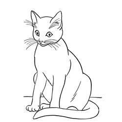 Desenho Gato (Animais) #174966 para imprimir e colorir