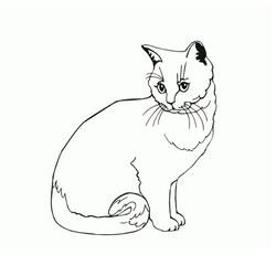 Desenho Gato (Animais) #174969 para imprimir e colorir