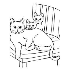 Desenho Gato (Animais) #174975 para imprimir e colorir