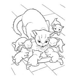Desenho Gato (Animais) #174976 para imprimir e colorir