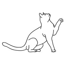 Desenho Gato (Animais) #174989 para imprimir e colorir