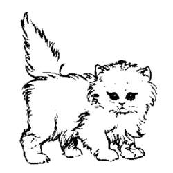 Página para colorir: Gato (animais) #1770 - Páginas para Colorir Imprimíveis Gratuitamente