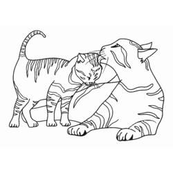 Página para colorir: Gato (animais) #1776 - Páginas para Colorir Imprimíveis Gratuitamente