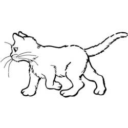 Página para colorir: Gato (animais) #1822 - Páginas para Colorir Imprimíveis Gratuitamente