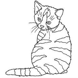 Página para colorir: Gato (animais) #1843 - Páginas para Colorir Imprimíveis Gratuitamente