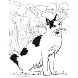 Página para colorir: Gato (animais) #1846 - Páginas para Colorir Imprimíveis Gratuitamente