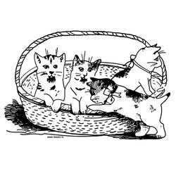 Página para colorir: Gato (animais) #1901 - Páginas para Colorir Imprimíveis Gratuitamente