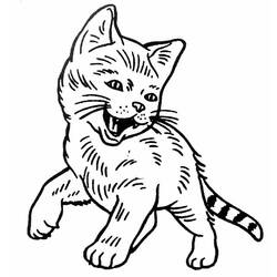 Página para colorir: Gato (animais) #1904 - Páginas para Colorir Imprimíveis Gratuitamente