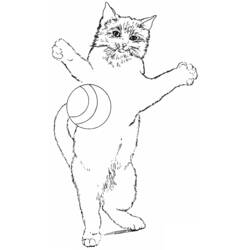 Página para colorir: Gato (animais) #1908 - Páginas para Colorir Imprimíveis Gratuitamente
