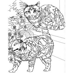 Página para colorir: Gato (animais) #1913 - Páginas para Colorir Imprimíveis Gratuitamente