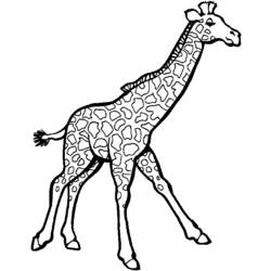 Página para colorir: Girafa (animais) #7246 - Páginas para Colorir Imprimíveis Gratuitamente