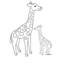 Página para colorir: Girafa (animais) #7259 - Páginas para Colorir Imprimíveis Gratuitamente