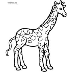 Desenhos para colorir: Girafa - Páginas para Colorir Imprimíveis Gratuitamente