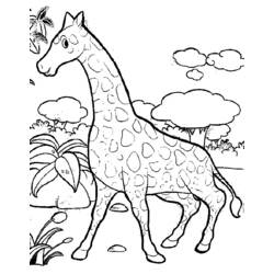 Página para colorir: Girafa (animais) #7262 - Páginas para Colorir Imprimíveis Gratuitamente