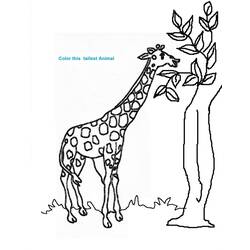 Página para colorir: Girafa (animais) #7265 - Páginas para Colorir Imprimíveis Gratuitamente