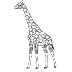 Página para colorir: Girafa (animais) #7275 - Páginas para Colorir Imprimíveis Gratuitamente
