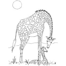 Página para colorir: Girafa (animais) #7302 - Páginas para Colorir Imprimíveis Gratuitamente