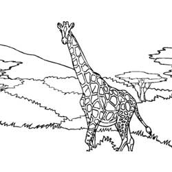 Página para colorir: Girafa (animais) #7305 - Páginas para Colorir Imprimíveis Gratuitamente