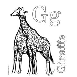 Página para colorir: Girafa (animais) #7316 - Páginas para Colorir Imprimíveis Gratuitamente