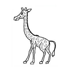 Página para colorir: Girafa (animais) #7324 - Páginas para Colorir Imprimíveis Gratuitamente