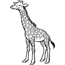 Página para colorir: Girafa (animais) #7334 - Páginas para Colorir Imprimíveis Gratuitamente