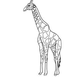 Página para colorir: Girafa (animais) #7362 - Páginas para Colorir Imprimíveis Gratuitamente