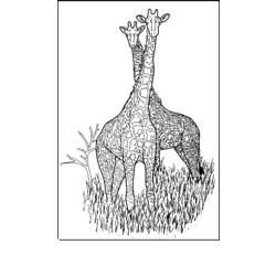 Página para colorir: Girafa (animais) #7365 - Páginas para Colorir Imprimíveis Gratuitamente