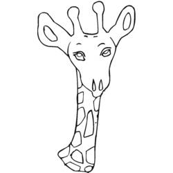 Página para colorir: Girafa (animais) #7375 - Páginas para Colorir Imprimíveis Gratuitamente