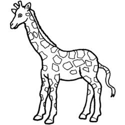 Página para colorir: Girafa (animais) #7387 - Páginas para Colorir Imprimíveis Gratuitamente