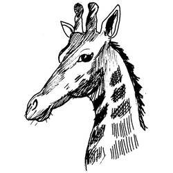 Página para colorir: Girafa (animais) #7389 - Páginas para Colorir Imprimíveis Gratuitamente