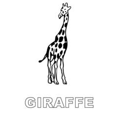 Página para colorir: Girafa (animais) #7398 - Páginas para Colorir Imprimíveis Gratuitamente